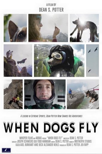 When Dogs Fly