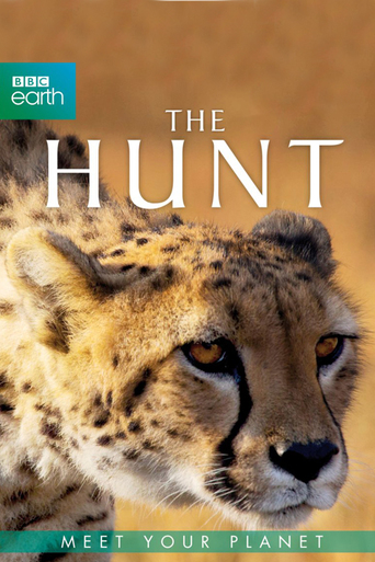 BBC Earth - The Hunt