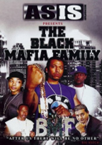 BMF: Black Mafia Family