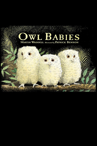 Owl Babies