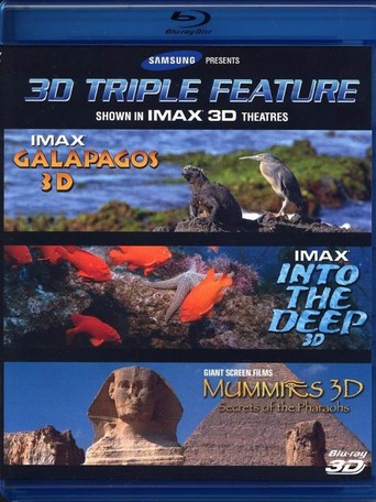 3D Triple Feature