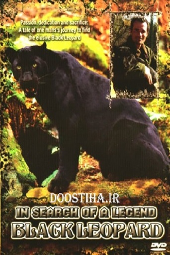 In Search Of A Legend: Black Leopard