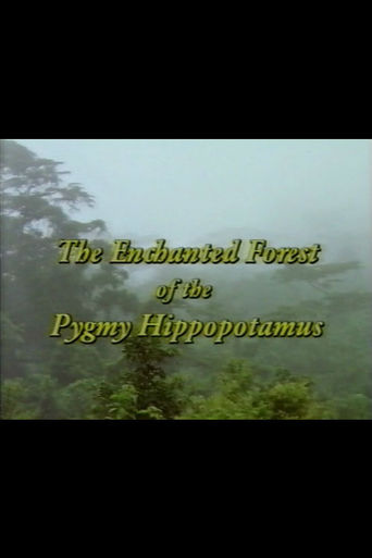 The Enchanted Forest of the Pygmy Hippopotamus