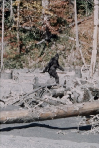 Patterson-Gimlin Film