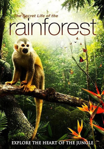 The Secret Life of the Rainforest