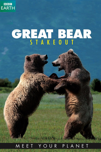 Great Bear Stakeout