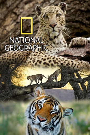 National Geographic Wild