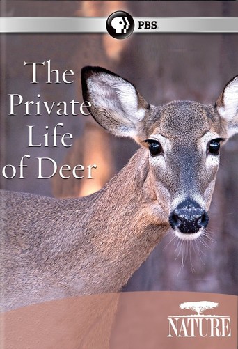 The Private Life of Deer