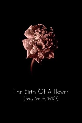 The Birth of a Flower