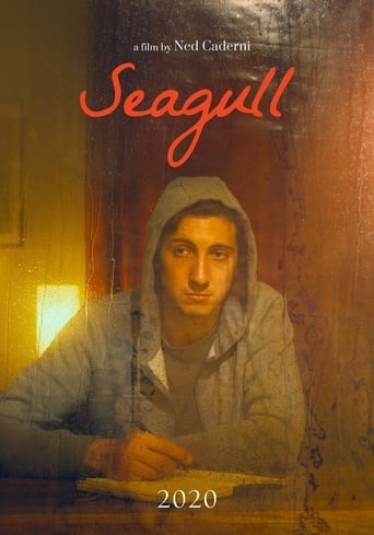 Seagull