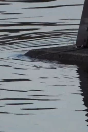 footage shot along the Susquehanna River set to various pieces of music