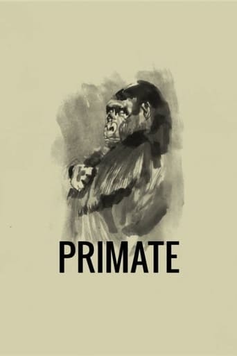 Primate