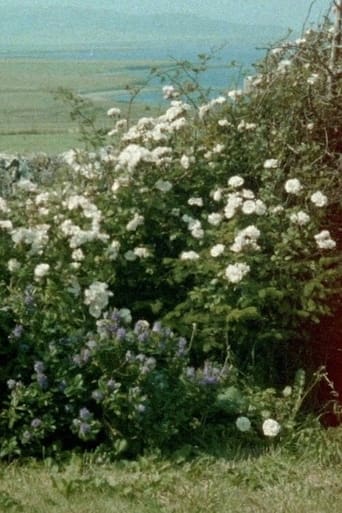 Glimpses from a Visit to Orkney in Summer 1995