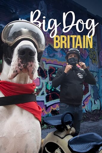 Big Dog Britain