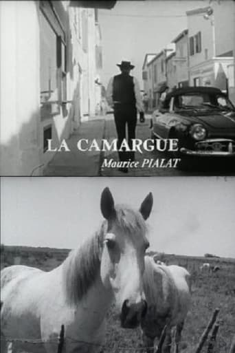 La Camargue