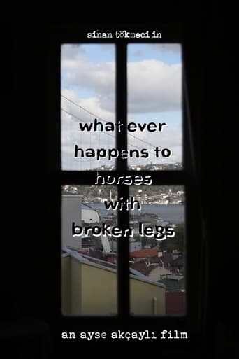 What Ever Happens to Horses with Broken Legs