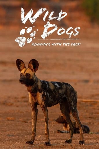 Wild Dogs: Running with the Pack