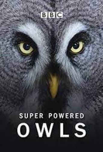 Super Powered Owls