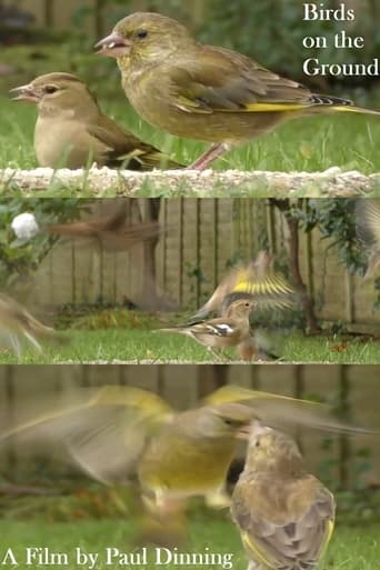 Birds on the Ground