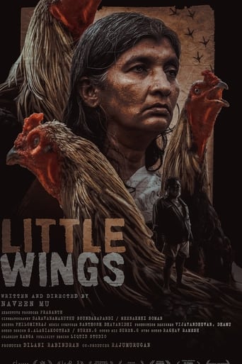 Little Wings 2022