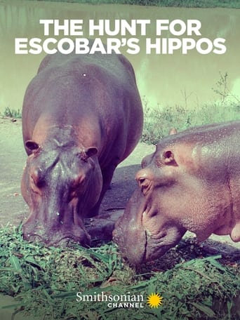 The Hunt for Escobar's Hippos