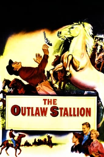 The Outlaw Stallion