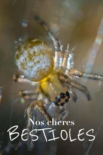 Nos chères bestioles