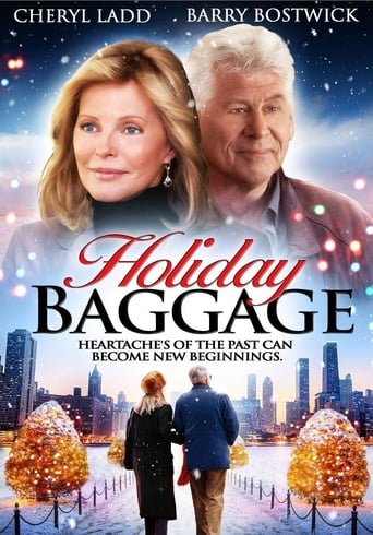 Holiday Baggage