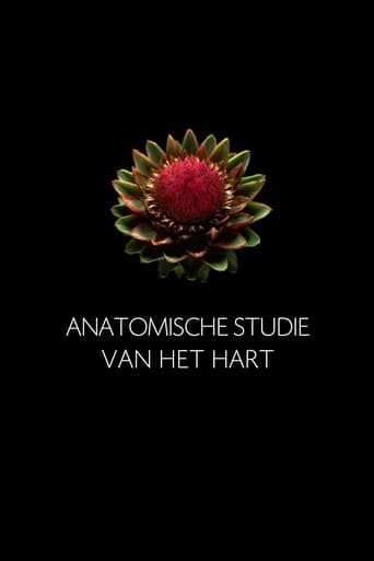 Anatomische Studie van het Hart