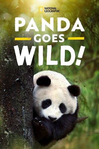 Panda Goes Wild