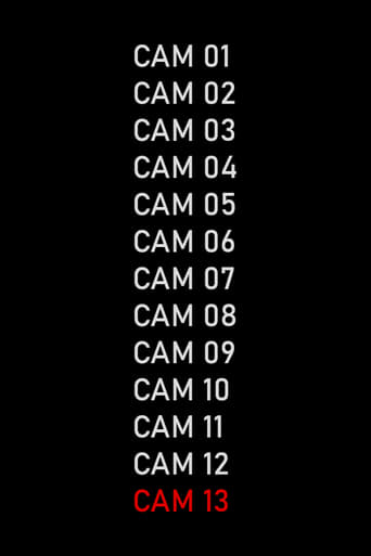 CAM 13