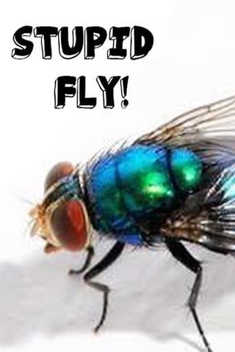 Stupid Fly