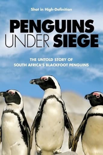 Penguins Under Siege