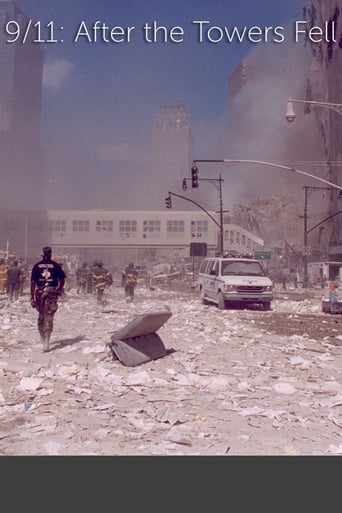 9/11: After The Towers Fell