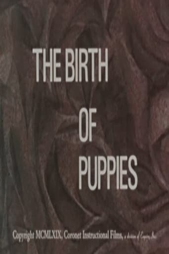 The Birth of Puppies