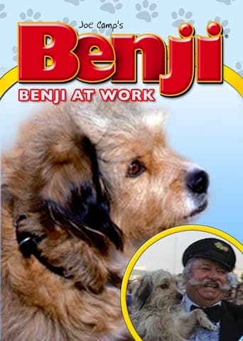 Benji at Work