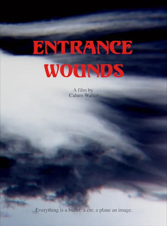 Entrance Wounds