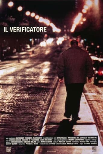 Il verificatore