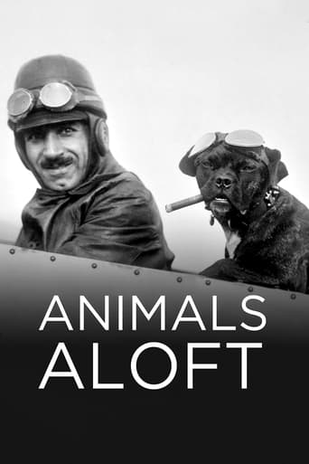 Animals Aloft