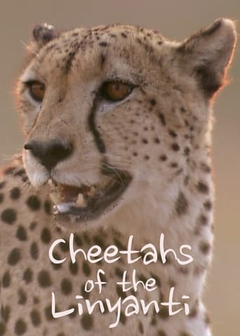 Cheetahs of the Linyanti