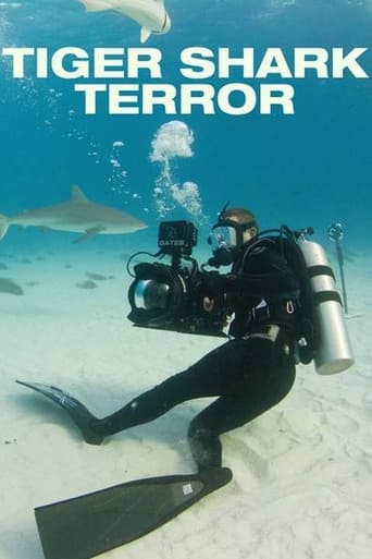 Tiger Shark Terror