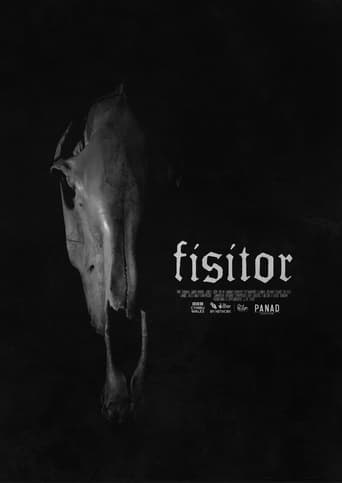 Fisitor