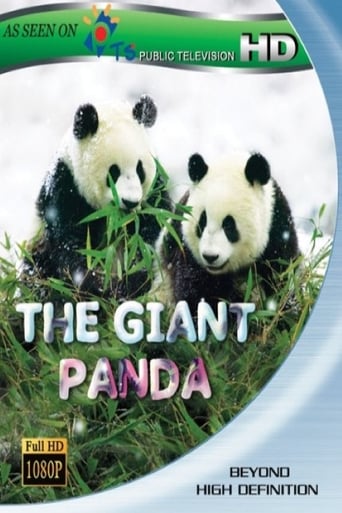 The Giant Panda