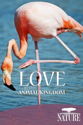 Nature: Love in the Animal Kingdom