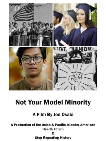 Not Your Model Minority