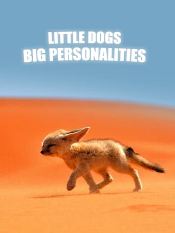 Little Dogs, Big Personalities