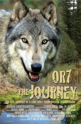 Or7: The Journey