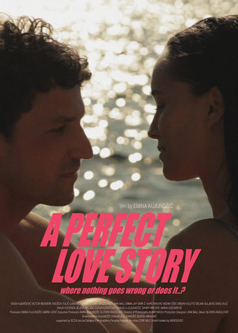 A Perfect Love Story Where Nothing Goes Wrong or Does It…?