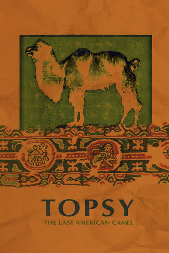 Topsy: The Last American Camel