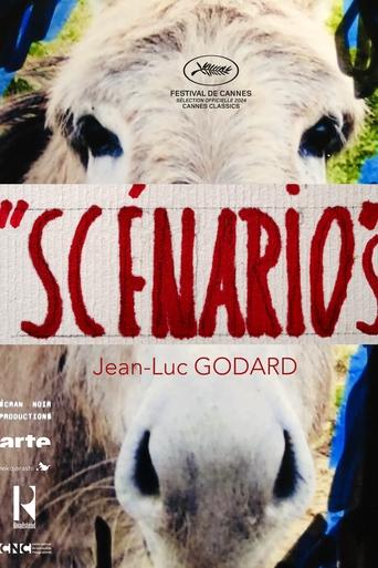 Presentation of the Trailer of a Film "Scénario"